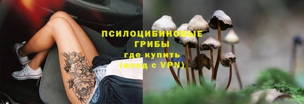 прущие крисы Абаза