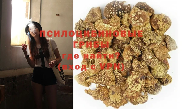прущие крисы Абаза