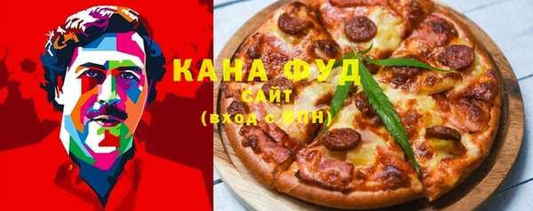 индика Саяногорск