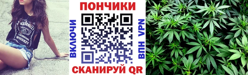 Бошки марихуана план  где купить наркоту  нарко площадка состав  Алдан 